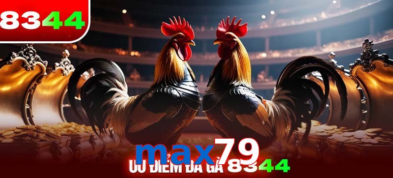 Thể loại đá gà max79 được ưa chuộng